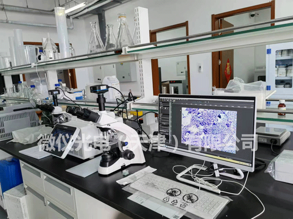 Baikuirui (Tianjin) Biotechnology Co., Ltd