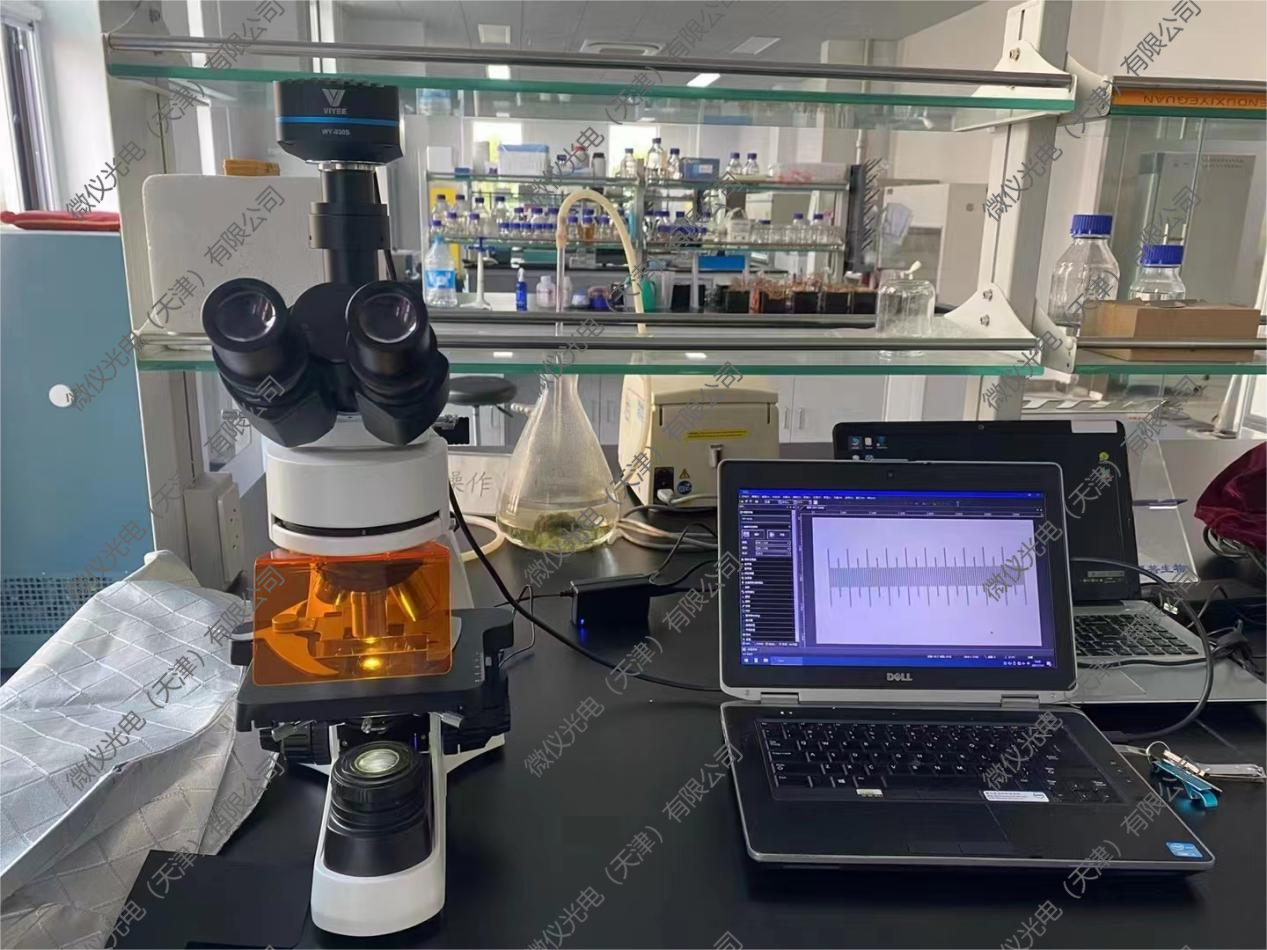 Tianjin Zhonghe Gene purchased the Micro Instrument Trinocular Fluorescence Microscope V5800 for the observation of luminescent materials Tianjin Zhonghe Gene purchased the Micro Instrument Trinocular Fluorescence Microscope V5800 for the observation of luminescent materials