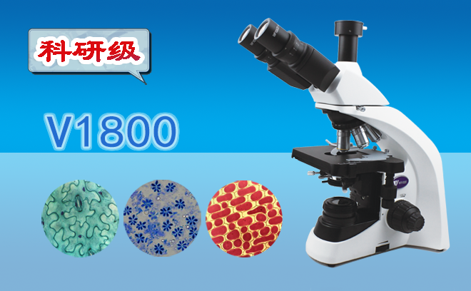 怎么调节显微镜能让物象看的更清楚