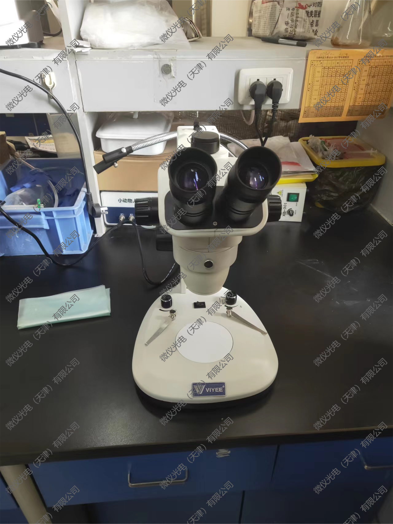 The School of Bioengineering at Tianjin University of Science and Technology procured the stereomicroscope WYT-ET for observing the visceral tissue of mice The School of Bioengineering at Tianjin University of Science and Technology procured the stereomicroscope WYT-ET for observing the visceral tissue of mice