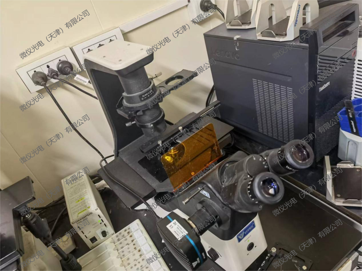 Tianjin Nankai University Medical College purchased WYS-41XDY for fluorescence-stained cell fluorescence observation