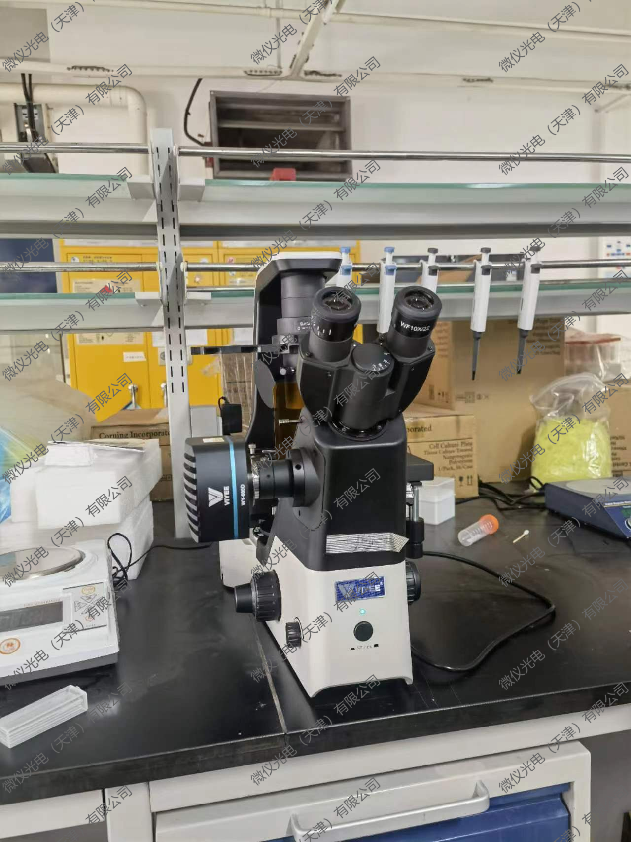 The School of Life Sciences, Nankai University, Goumai, is a research-grade trinocular inverted fluorescence microscope WYS-41XDY for fluorescence observation of cells stained by fluorescence The School of Life Sciences, Nankai University, Goumai, is a research-grade trinocular inverted fluorescence microscope WYS-41XDY for fluorescence observation of cells stained by fluorescence