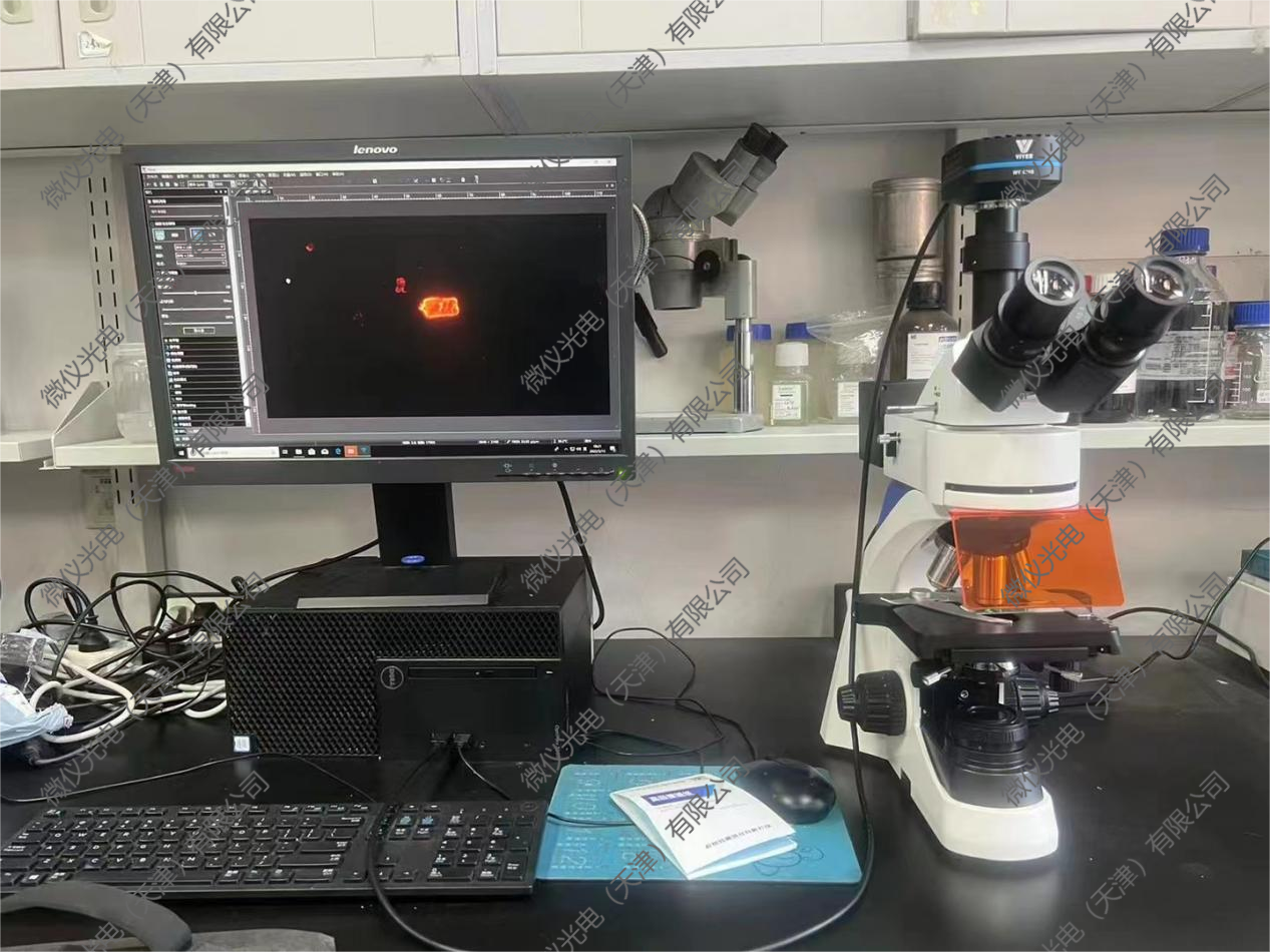The School of Materials Science and Engineering at Nankai University purchased the V5800-830S for fluorescent material observation The School of Materials Science and Engineering at Nankai University purchased the V5800-830S for fluorescent material observation
