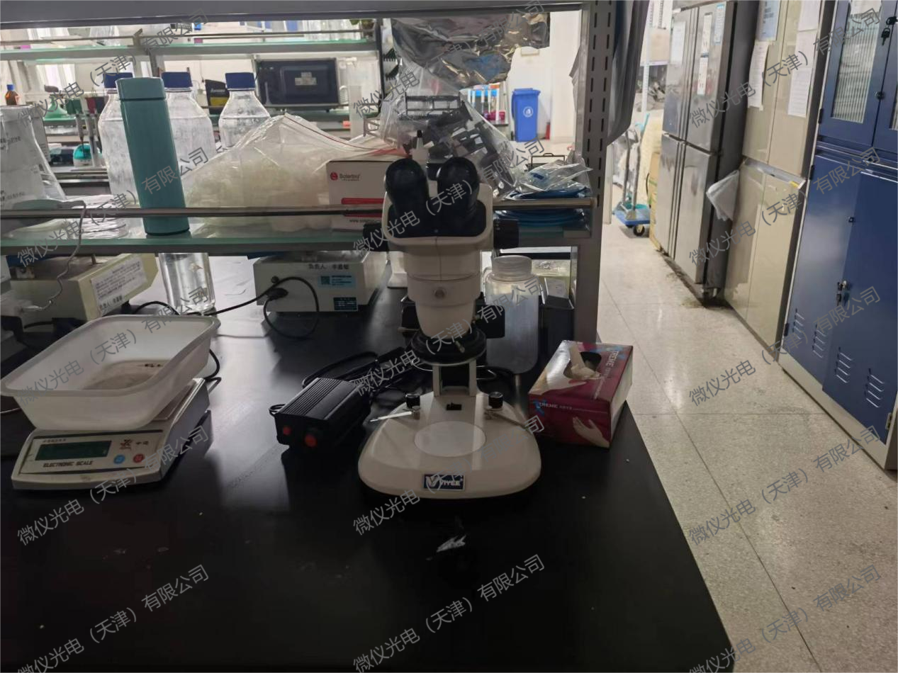 The School of Life Sciences at Nankai University procured the WYT-ET stereomicroscope for mouse anatomy The School of Life Sciences at Nankai University procured the WYT-ET stereomicroscope for mouse anatomy