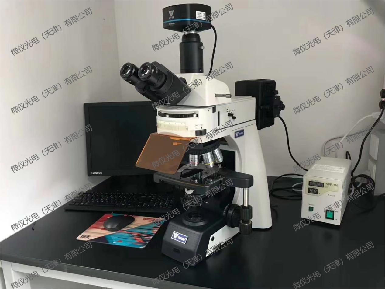 Nankai University Medical School purchased the fluorescence microscope WY-910-FL for observation of fluorescence-stained cell crawlers