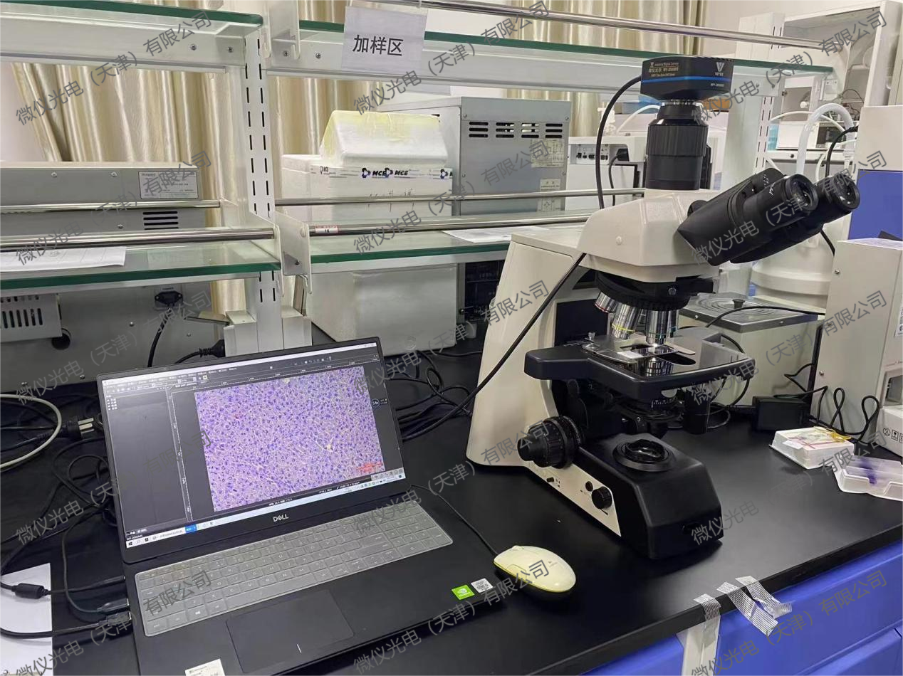 Baikuirui (Tianjin) Biotechnology Co., Ltd. purchased our company's biological microscopy system WYS-910-630M Baikuirui (Tianjin) Biotechnology Co., Ltd. purchased our company's biological microscopy system WYS-910-630M