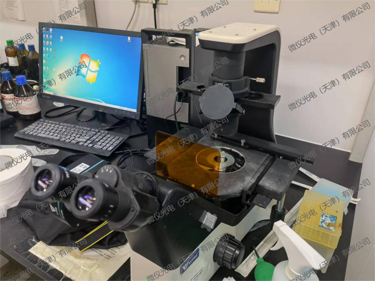 The School of Pharmacy at Nankai University purchased the micro-instrument fluorescence microscope WYS-41XDY for fluorescence observation of cells stained by fluorescence