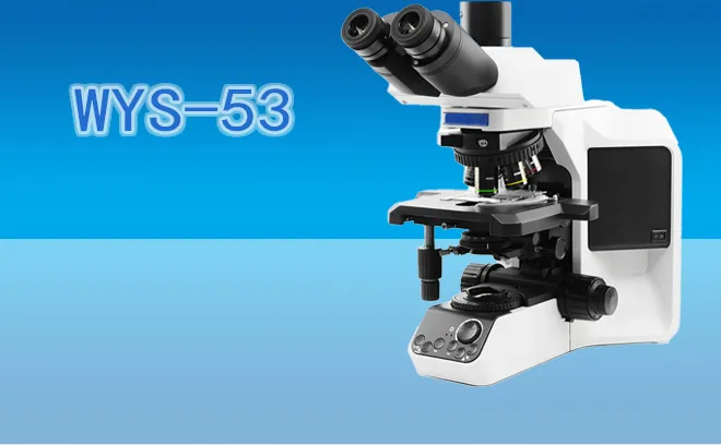 Biological Microscope WYS-53