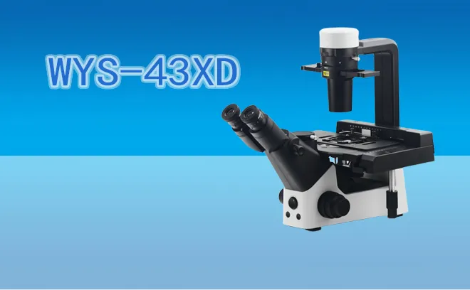 Inverted Biological Microscope WYS-43XD