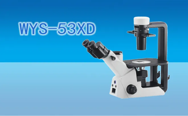 Biological Microscope WYS-53XD