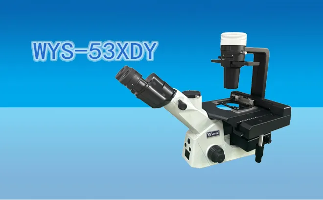 Fluorescence Microscope WYS-53XDY