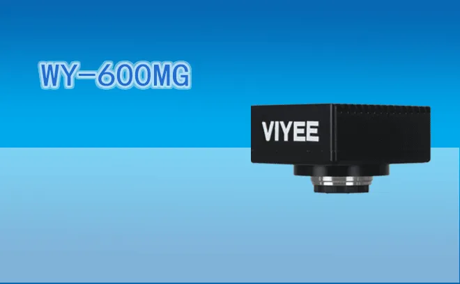 WY-600MG